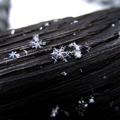 A Snowflake Fell