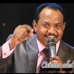 المهرجان - عاصم البنا