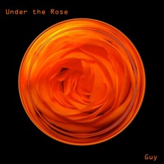 Under The Rose - Laid back, chilled out house set. 116bpm