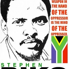 Steve Biko, by Half Life (from compilation album East, Dead Good Records 1978)