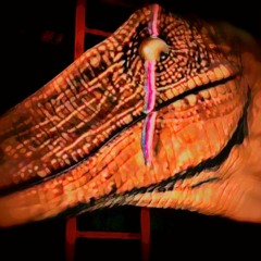 The Alpha Scars - Fetal Fire (Wip)