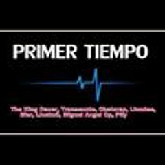 The King Dacer  Transeunte  Chatorap  Liondee  Efer  Lioskull  Miguel Angel Cp  Pity  2013