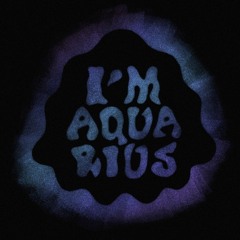 Track Premiere: Metronomy - I'm Aquarius (Edwin Van Cleef Remix)