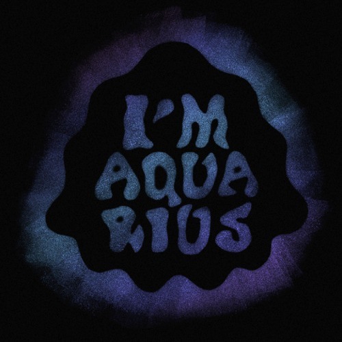 Track Premiere: Metronomy - I'm Aquarius (Edwin Van Cleef Remix)
