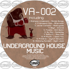 Nu Zau - Someday (Original Mix) Preview