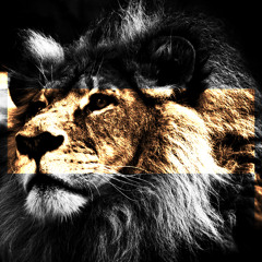 Wir sind Seeed - Cover