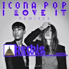 Dog Blood VS. Icono Pop - I Love It (HerbieHawse Remix)