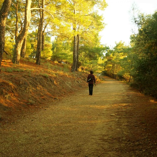 Anan Var Mıdır, Midur ?