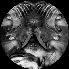 [SST020] Dolgener & Memnok - She's Crazy EP