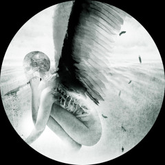 [NST083] David Meiser - Temple Of Solitude EP (feat. Black Asteroid)