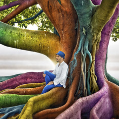 Whatever You Like (Just a dream) by Jon-Paul Akal, Jon Burton & Trev Akal