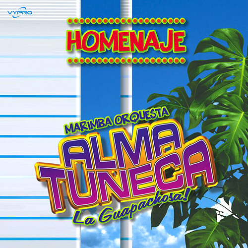 Stream Marimba Orquesta Alma Tuneca Vivir Mi Vida by DifosaMusic
