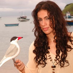 Fernanda Noronha - Labirinto