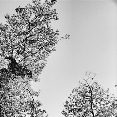 Btstu Cover (Demo) -EXPLICIT-