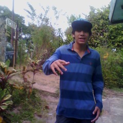 Metamorfosis Nocturna - Flowland [ Mente Inerte ] ( H - H Record´s & MagicFlow Producciones )