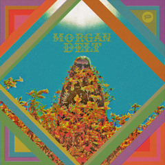 Morgan Delt - Obstacle Eyes