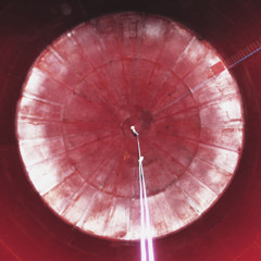 Annea Lockwood "Myotis Bat"