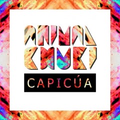 Animal Chuki - Capicúa