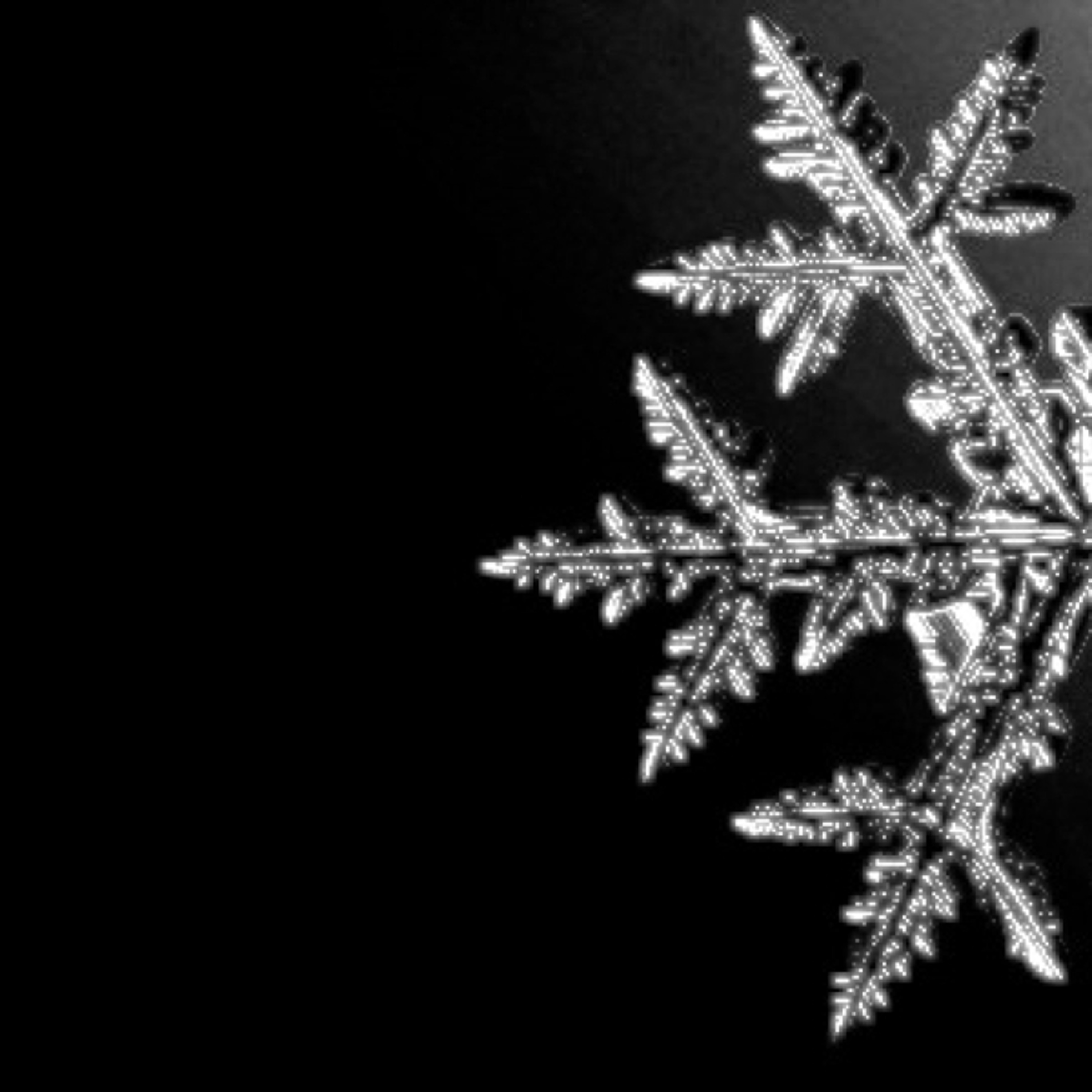 ArtEfficient Intelligenz