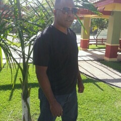 Lechon de Navidad Diego Rolando