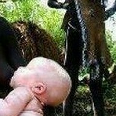 DT AND JMOO ( U MONKEY BITCH)