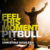 Pitbull Ft Christina Aguilera - Feel This Moment - (Cover Tribal Remix) - Dj Skarley 2013