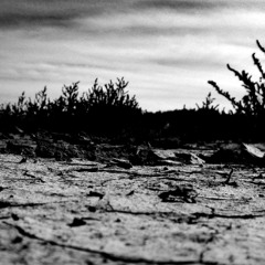 "Ya me voy a morir a los desiertos"