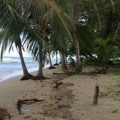 Loyal Riddim Mix 2013