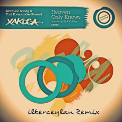 Xakosa feat. Rick Collins - Heaven Only Know(ilkerceylan remix)