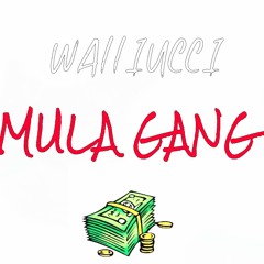 Mula Gang