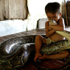 Swervedriver - Behind The Scenes Of The Sounds And The Times