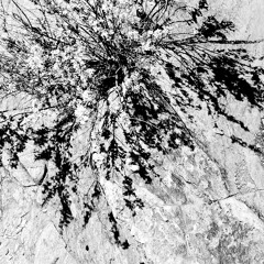 20131210: I See Your Face Before Me / Foolin' Myself