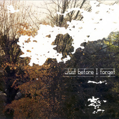 Afterthoughts Bitonto