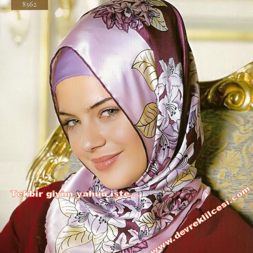karwan kamel