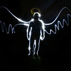 Vergissmeinnicht (Cons Edition)