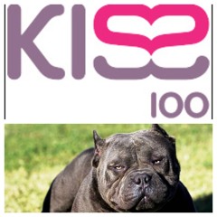 **DJ Logan Sama Kiss FM rip** Big Dawg's - Diesle D Power feat. Flowdan (prod. by Masro) *10.12.13*