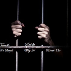 Tinush Salehi - The Simple Way To Break Out