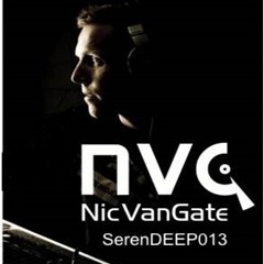 VanGate SerenDEEP013 (Tribal-Psy)