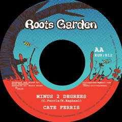 dub / reggae