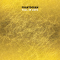 Phantogram Fall&#x20;In&#x20;Love Artwork