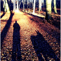 Poisci Me V Pravljici