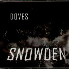 28) Doves - Snowden