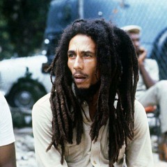 Bob Marley - Soul Shakedown Party