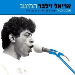 אריאל זילבר - בדיעבד