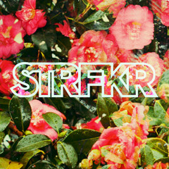 STRFKR - While I'm Alive (Melodeyes Remix Part Il)