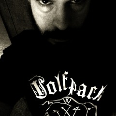 VEIN COLLECTOR - The Fake [ Murder Love God Remix ]