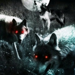 Love Me  at wolfpackgang studios