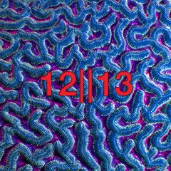 12||13