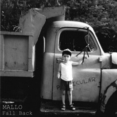 Mallo - Fall Back (Le Noir Series Nº2) Cachaba Record