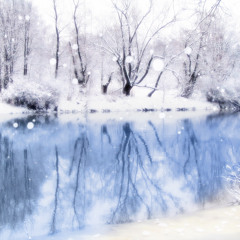 Snowflakes